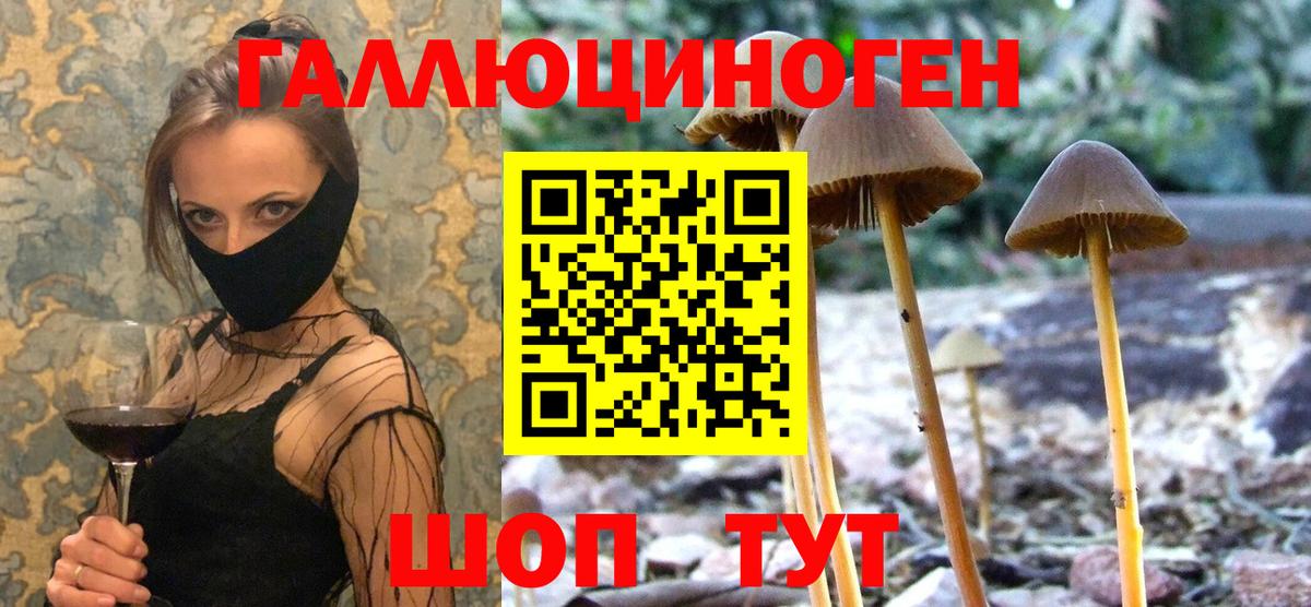 Галлюциногенные грибы прущие грибы  Вход с VPN  Волжский  Псилоцибиновые грибы ЛСД 